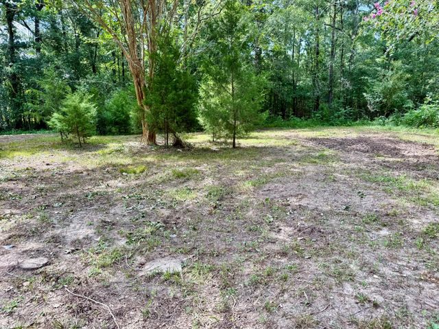 800 Windwood Drive, Livingston, TX 77351