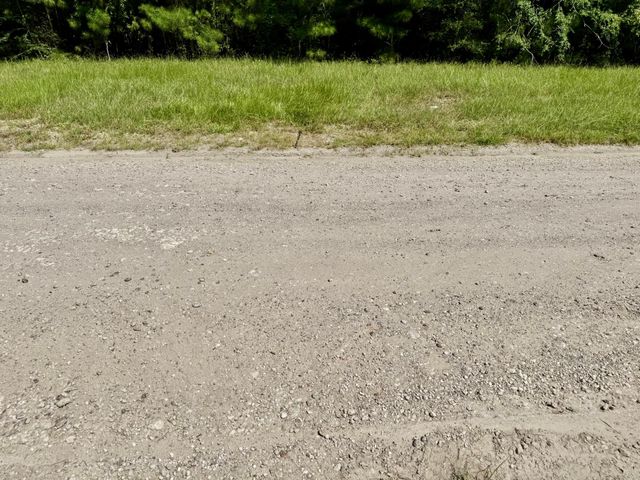 800 Windwood Drive, Livingston, TX 77351