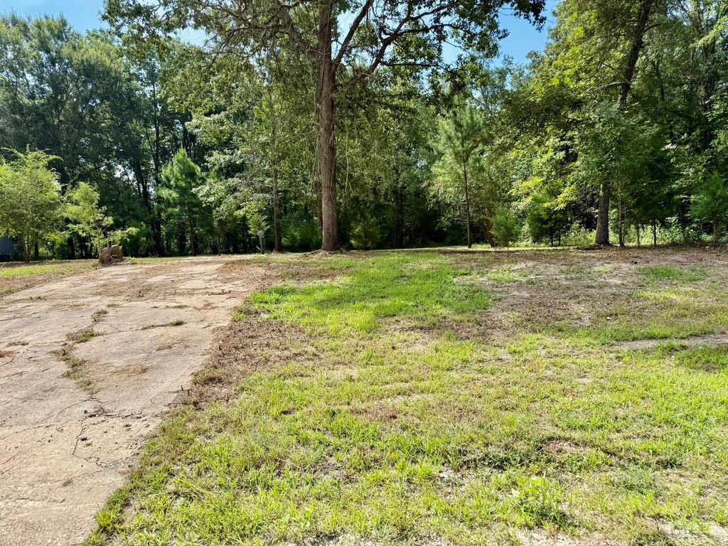 800 Windwood Drive, Livingston, TX 77351