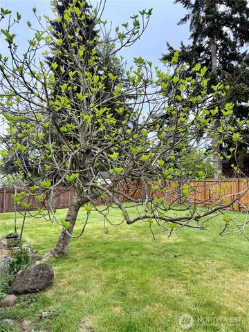 13029 SE 206 Place, Kent, WA 98031