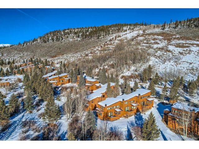 560 Tennis Club Rd 1333, Dillon, CO 80435