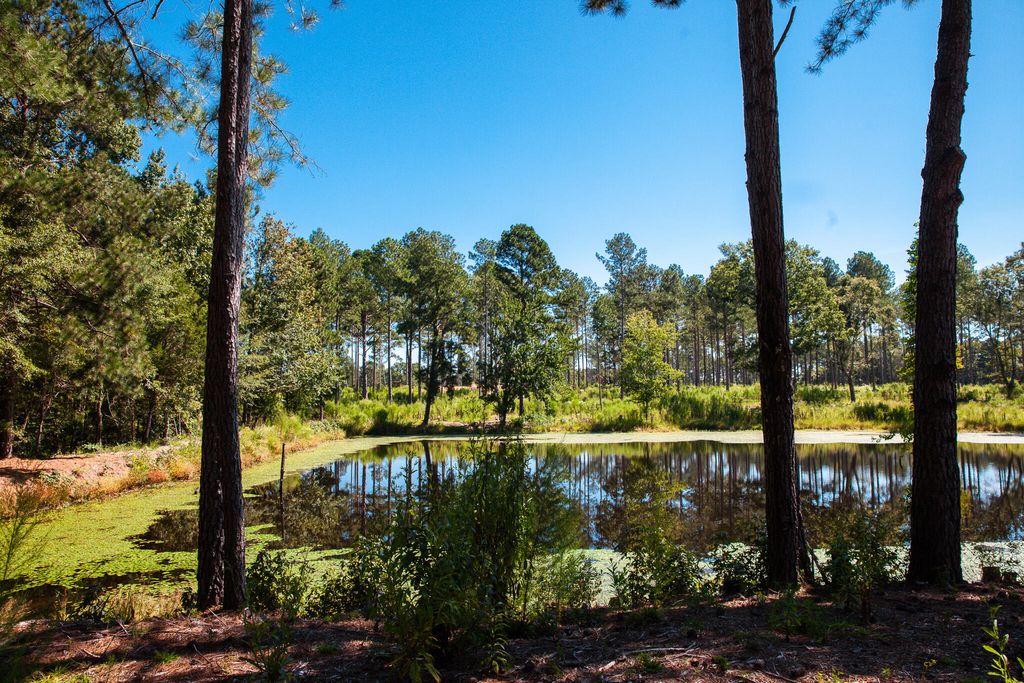 6355 Cobbham Road, Appling, GA 30802