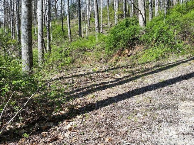 31 Mistletoe Ridge, Waynesville, NC 28786
