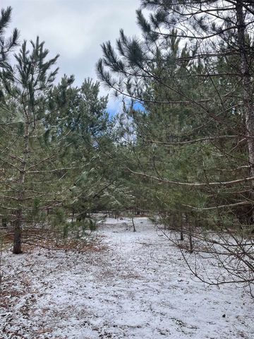 6418 Jeffrey Place, Grawn, MI 49637