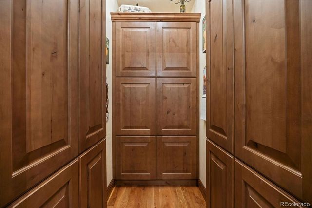 5276 Red Pass Court, Castle Rock, CO 80108
