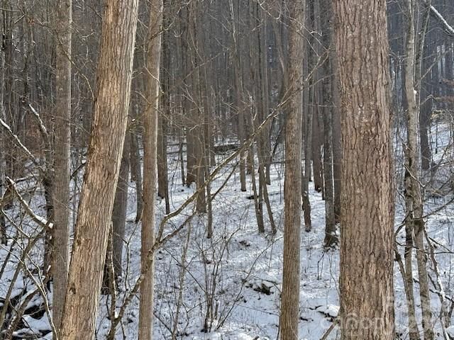 00000 Martins Creek Road, Barnardsville, NC 28709