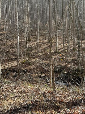 00000 Martins Creek Road, Barnardsville, NC 28709