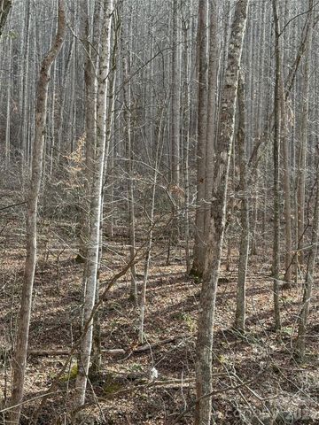 00000 Martins Creek Road, Barnardsville, NC 28709