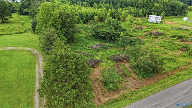 309 County Road 315 Lot 2, Bryant, AL 35958
