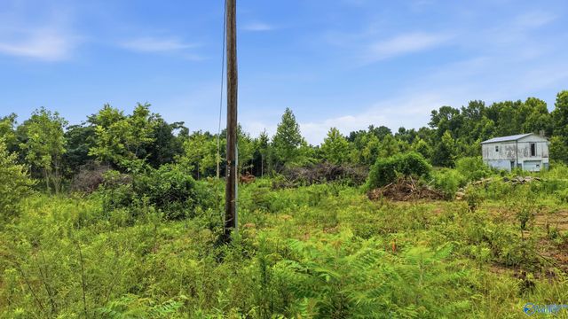 309 County Road 315 Lot 2, Bryant, AL 35958