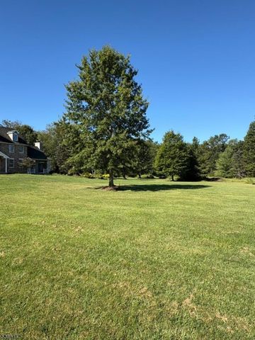 15 Opdyke Rd, Kingwood Twp., NJ 08825