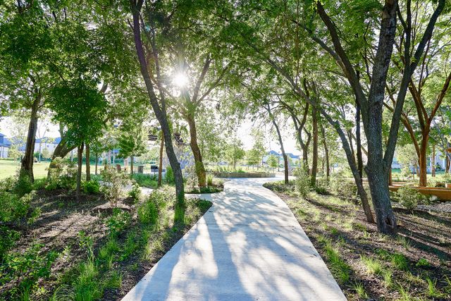15635 Abelia Bloom Street, Frisco, TX 75035