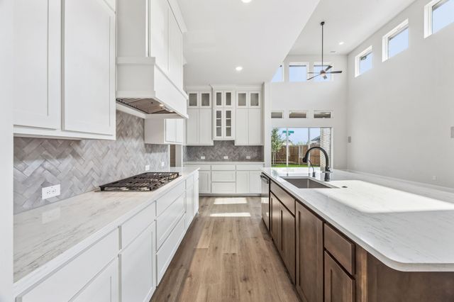 15635 Abelia Bloom Street, Frisco, TX 75035