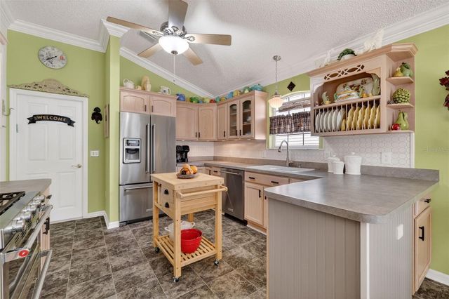 3040 BATALLY COURT, The Villages, FL 32162