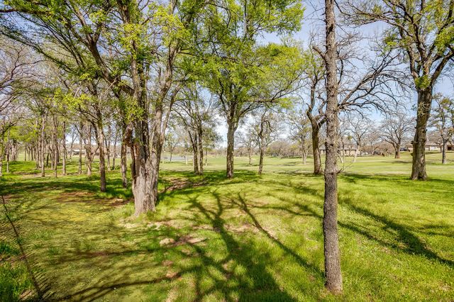 542 S Sugartree Drive, Lipan, TX 76462