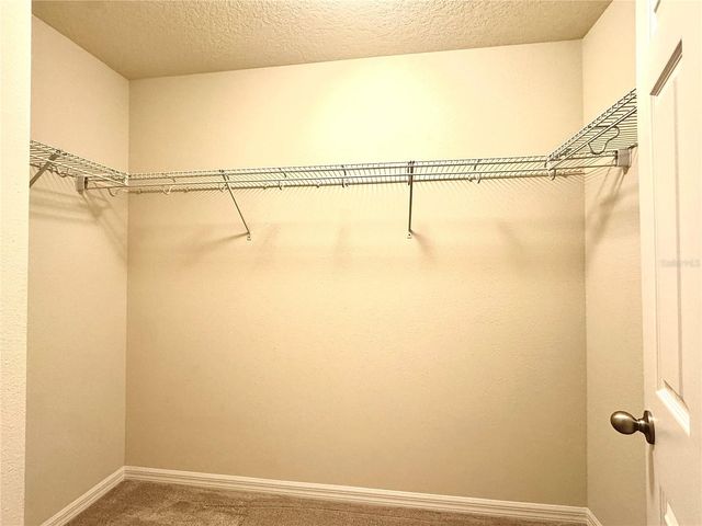 11903 CAVE RUN AVENUE, Windermere, FL 34786