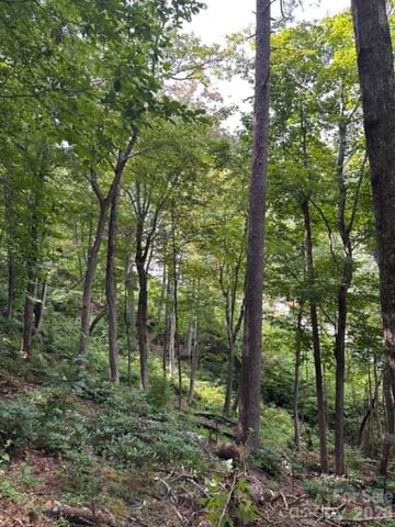 Lot 26 Pleasant View Drive, Lake Toxaway, NC 28747