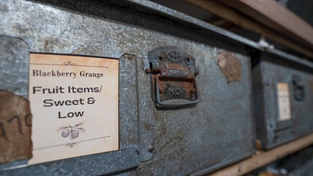 10813 County Road 446, Navasota, TX 77868