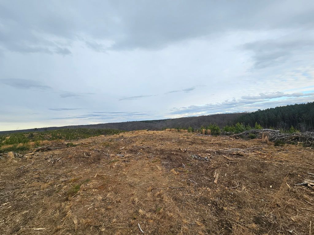 0B Waynesboro HWY, Waynesboro, TN 38485