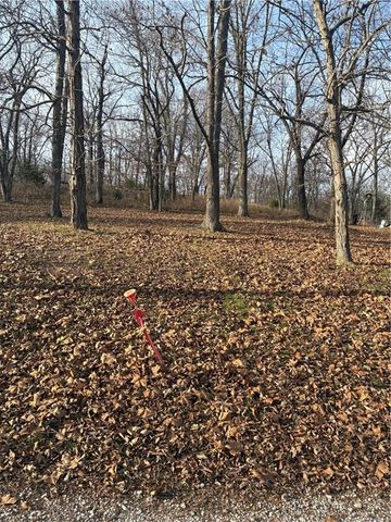 33090 Canopy Road, Lincoln, MO 65338