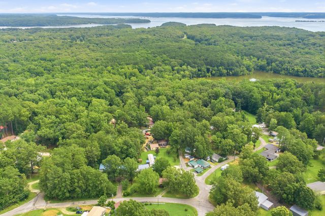 225 Pineview Dr, Springville, TN 38256