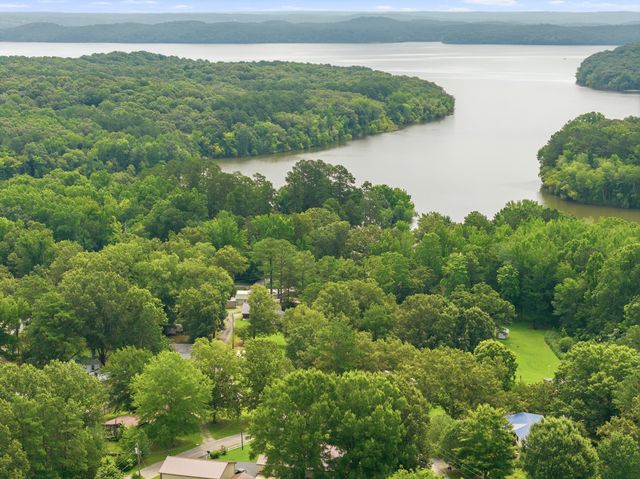 225 Pineview Dr, Springville, TN 38256