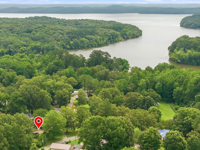 225 Pineview Dr, Springville, TN 38256