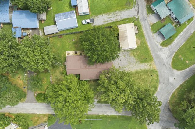 225 Pineview Dr, Springville, TN 38256