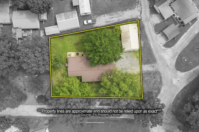 225 Pineview Dr, Springville, TN 38256