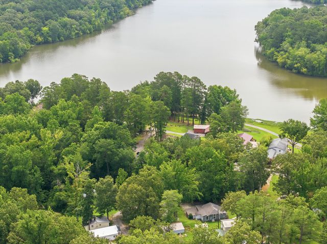 225 Pineview Dr, Springville, TN 38256
