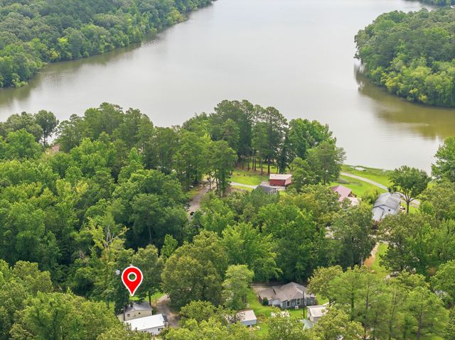 225 Pineview Dr, Springville, TN 38256