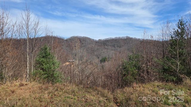 50 Gregory Hill Road, Fairview, NC 28730