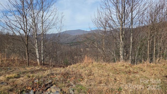 50 Gregory Hill Road, Fairview, NC 28730