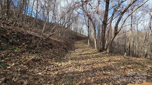 50 Gregory Hill Road, Fairview, NC 28730