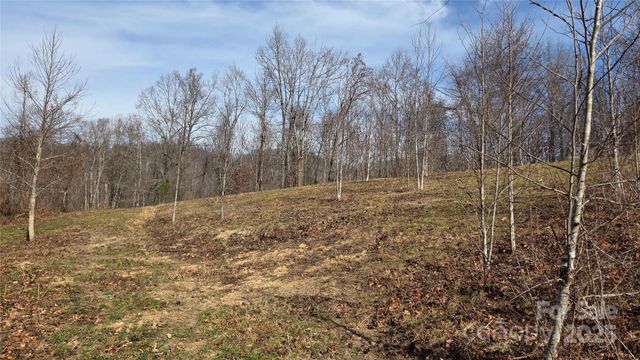 50 Gregory Hill Road, Fairview, NC 28730