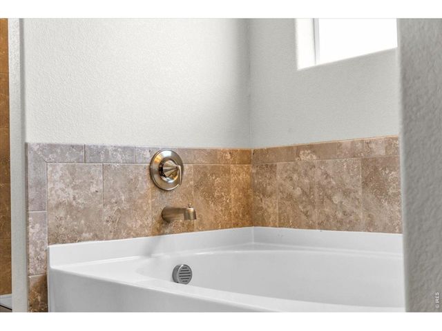 1182 Bowen Pass St, Severance, CO 80550