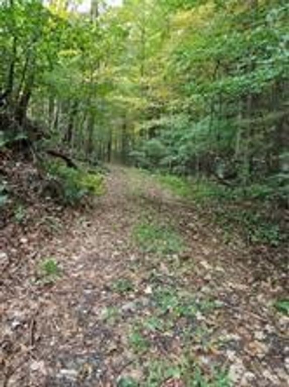 235 Mt. Zion Road, Marlboro, NY 12542