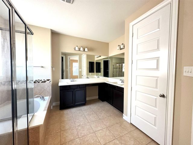 22523 Birch Ridge Meadow Drive, Spring, TX 77389