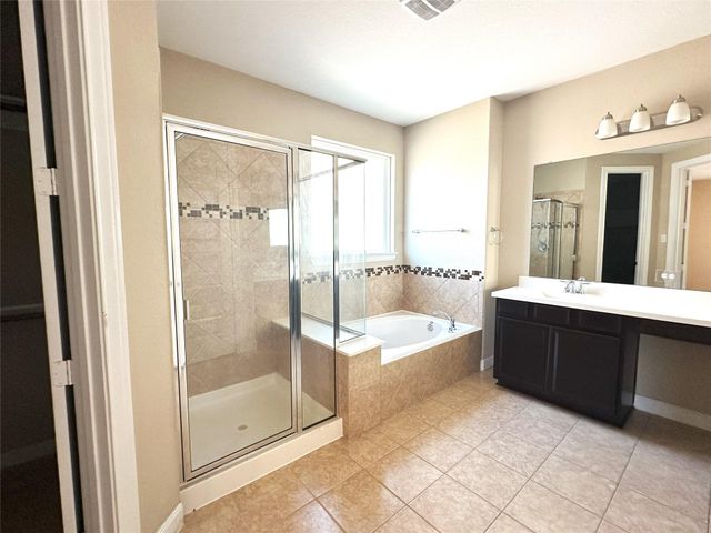 22523 Birch Ridge Meadow Drive, Spring, TX 77389