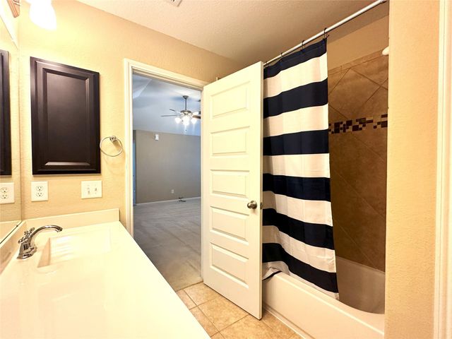 22523 Birch Ridge Meadow Drive, Spring, TX 77389