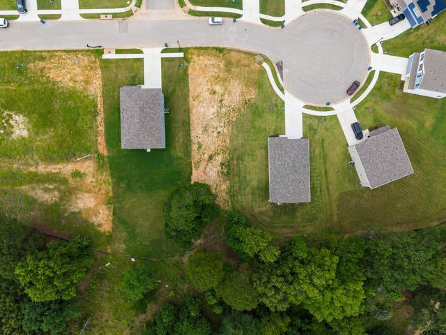 1198 Clover Court LOT 43, Chandler, TX 75758
