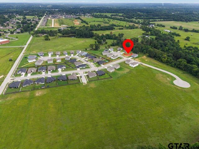 1198 Clover Court LOT 43, Chandler, TX 75758