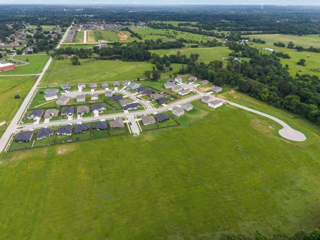 1198 Clover Court LOT 43, Chandler, TX 75758