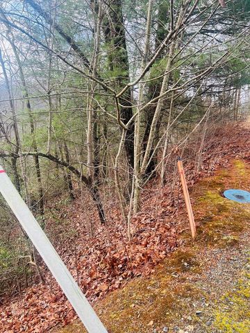 00 Aster Trail, Marble, NC 28905