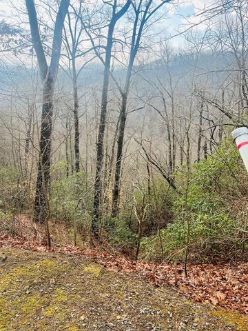00 Aster Trail, Marble, NC 28905