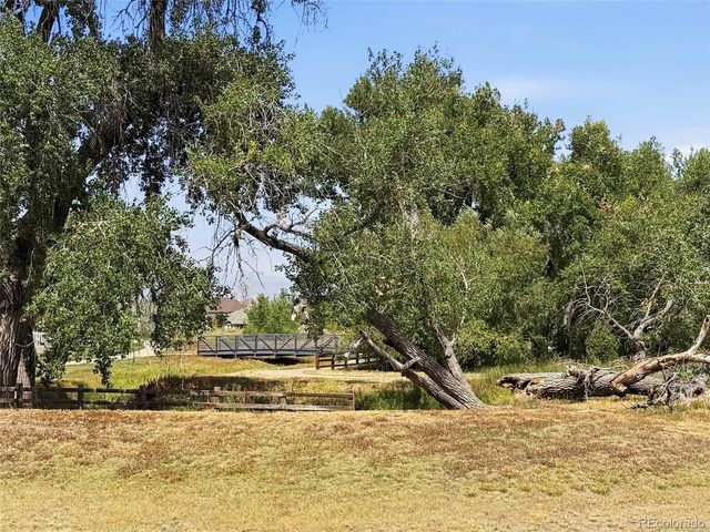 14185 Harrison St, Thornton, CO 80602
