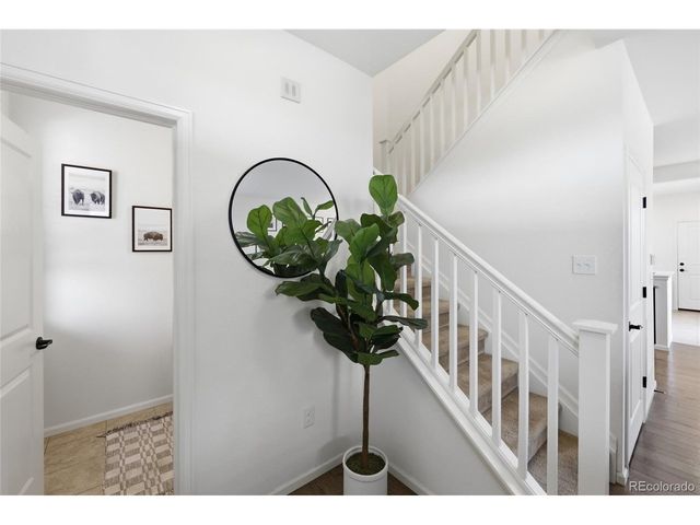 14185 Harrison St, Thornton, CO 80602