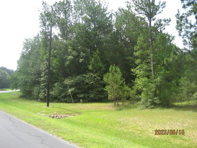 30075 Round Up Drive, Waller, TX 77484