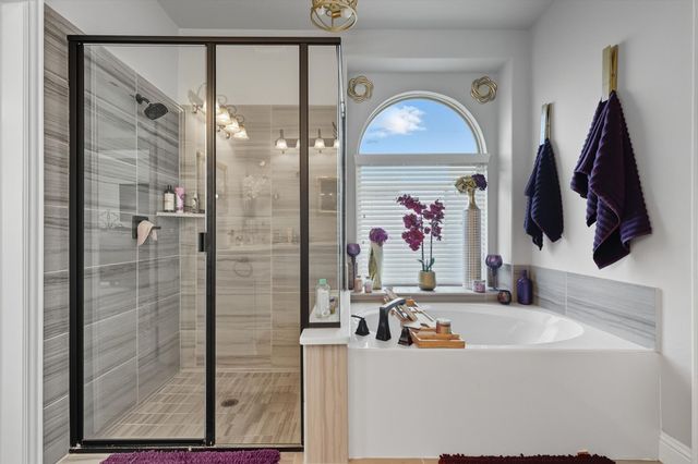 313 Micco Lane, Fate, TX 75087