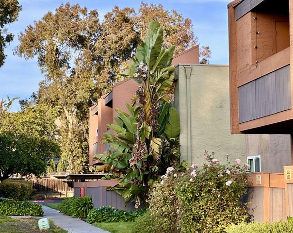 436 Dempsey Road 238, Milpitas, CA 95035